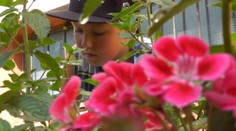 Nádherný záhon kvetov v Banskej Bystrici vytvoril iba deväťročný chlapec