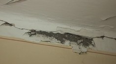 Podviedli ho. Kúpil dom z pálenej tehly, všetko je však inak