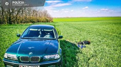 Dramatická policajná naháňačka pri Nitre. Muži zákona použili maják, megafón a aj strieľali