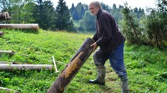 Útok rozzúrenej ovce: S Mirom to vyzerá zle!