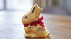 Víťazom „čokoládovej vojny“ je Lindt. Reťazec Lidl musí zlikvidovať všetky zlaté zajace