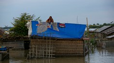 Rozsiahle záplavy v Indii si vyžiadali už 84 mŕtvych. Utopilo sa aj deväť vzácnych nosorožcov