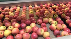 Z účtov v supermarketoch je mnohým na zaplakanie.  Za čo si opäť priplatíme?