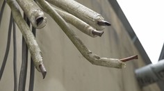 Partia recidivistov kradla meď v Trenčianskych Tepliciach. Muž, ktorý ušiel, bol už 19-krát trestaný