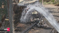 Zhorený útulok ukázal, v akých podmienkach žili zvieratá