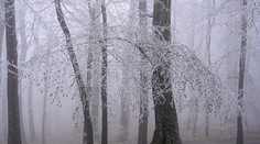 SHMÚ: Pondelok bude veľmi chladný, padnúť môžu aj teplotné rekordy