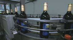 Víno zdražie. Na etiketu musia totiž vinári dopísať zloženie a množstvo kalórií