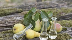 Ľudia si zrejme budú môcť vyrábať ovocné destiláty doma, len pre vlastnú spotrebu