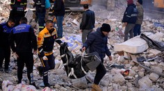 Spod trosiek sa ozýva zúfalé volanie o pomoc. Nikto však neprichádza