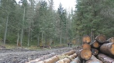 Ťažbu dreva v Muránskej planine preveruje kontrola. Vedenie národného parku kritiku odmieta