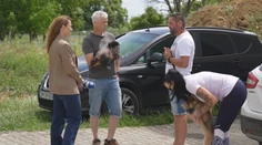 Rodiny majú nečakanú dilemu. Buď sa zbavia svojich psov, alebo prídu o bývanie