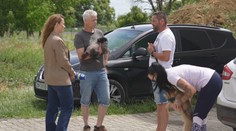 Rodiny majú nečakanú dilemu. Buď sa zbavia svojich psov, alebo prídu o bývanie