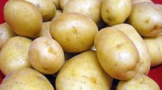 Zemiaky nám poriadne zdraželi