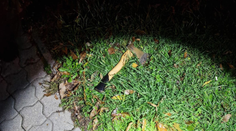 Bratislavčanov vystrašil muž so sekerou. So zbraňou v ruke sa otočil aj proti policajtom