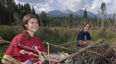 Toto sú hlavné podmienky, ktoré musíte spĺňať, aby ste mohli brigádovať