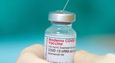 Moderna začala vyvíjať posilňujúcu dávky vakcíny proti variantu omikron