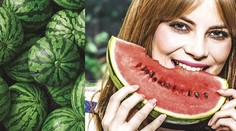 Pri výbere obchodného reťazca je najdôležitejšia čerstvosť, odhalil prieskum