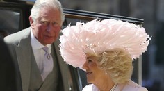 Camilla ohúrila výberom klobúka: Veď tam by sa aj vtáčiky uhniezdili