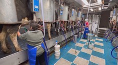 Rast cien energií môže družstvá položiť na kolená. V ohrození je aj to v Badíne