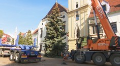 V Bratislave už stojí vianočný stromček. Vieme, kedy ho rozsvietia