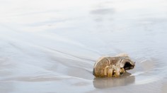 Pri obci Sačurov našli bezvládne telíčko dvojročného chlapčeka