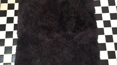 Na fotke je veľké zviera. Vidíte ho?