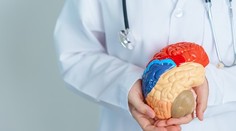 Chcete si udržať pamäť? O mozog sa treba starať už po tridsiatke, tieto signály neignorujte