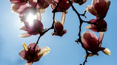 Počasie sa mení zo dňa na deň. Slovensko čaká dážď, sneh aj takmer letné teploty