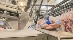 Prelomové rozhodnutie súdu: Živnostníci budú mať zrejme platenú dovolenku