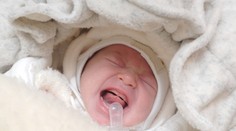 Rodičia z Česka strčili bábätko do kríkov a išli do krčmy. Takmer to neprežilo