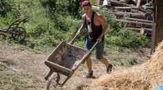 Vegetarián na Farme: Prežije to?