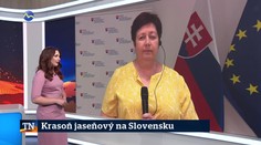 22. 7. 2026