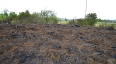 Podpálil 300 ton pneumatík a spôsobil desaťtisícové škody: Len preto, aby sa mohol pozerať