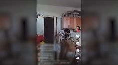 Vulgárne nadávala svojim deťom a vyhrážala sa im smrťou. Matku zo Šale uznal sudca vinnou