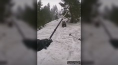 Medveď v Nízkych Tatrách ukradol turistke batoh. Zásahový tím ho musí odchytiť alebo usmrtiť