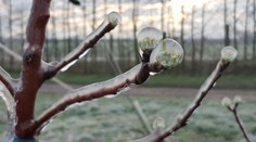 POČASIE: Čaká nás slnečný týždeň bez zrážok, so stúpajúcimi dennými teplotami a mrazivými ránami