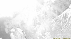 Pasca nachytala ozbrojených mužov v Tatrách. Mali aj tlmič