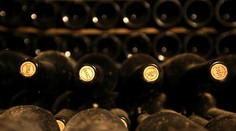 V zásielke talianskeho vína našli nebezpečnú kobylku