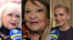 Gombitová, Rolins aj Bohdalová: Toto prajú Slovákom na Vianoce. Jedna speváčka nečakane odchádza do zahraničia