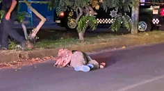 Záber, ktorý dojme každého. Verný pitbul sa nepohol od svojho mŕtveho pána