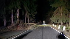 Silný vietor pácha škody po celom Česku, hasiči sa nezastavia