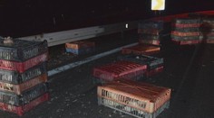 Diaľničiari museli zachraňovať sliepky. Z idúceho poľského kamióna vypadlo štyristo kusov hydiny