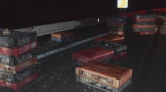 Diaľničiari museli zachraňovať sliepky. Z idúceho poľského kamióna vypadlo štyristo kusov hydiny