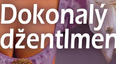 Inteligentná romantika