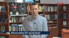 Žiadne ohňostroje ani fanfáry. Keď bolo jasné, aké bude zloženie nového Európskeho parlamentu, finančné trhy ochladli