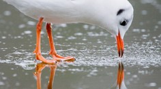 Celý týždeň bude pokračovať len mierna zima