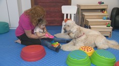 Štvornohí terapeuti: Vďaka canisterapii dokáže choré dievčatko robiť pokroky