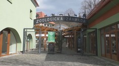 Zatvorené zoologické záhrady prichádzajú denne o tisíce eur. Zatiaľ nie je jasné, či dostanú kompenzáciu od štátu