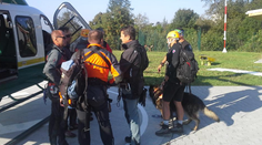 Pes Beny zachránil život turistovi v Tatrách: Našiel ho po troch dňoch