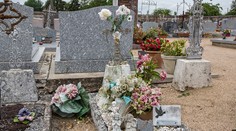 Odložený prípad mŕtveho dievčatka (†4) z priekopy pri diaľnici otvorili testy DNA